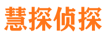 雷州调查事务所